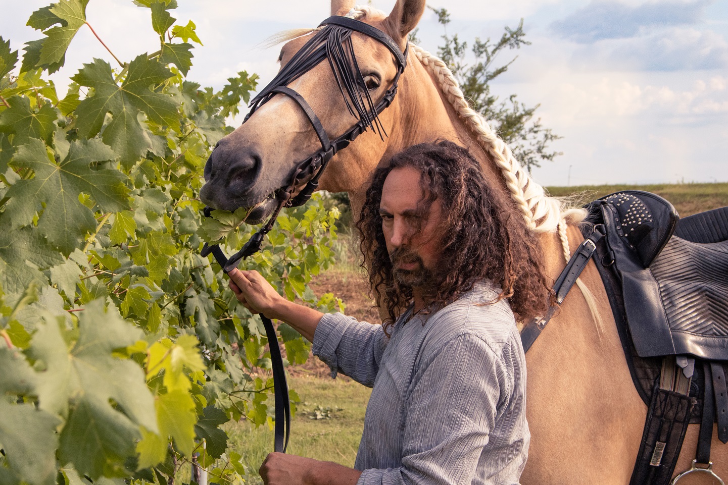 I miei cavalli apprezzano il vigneto