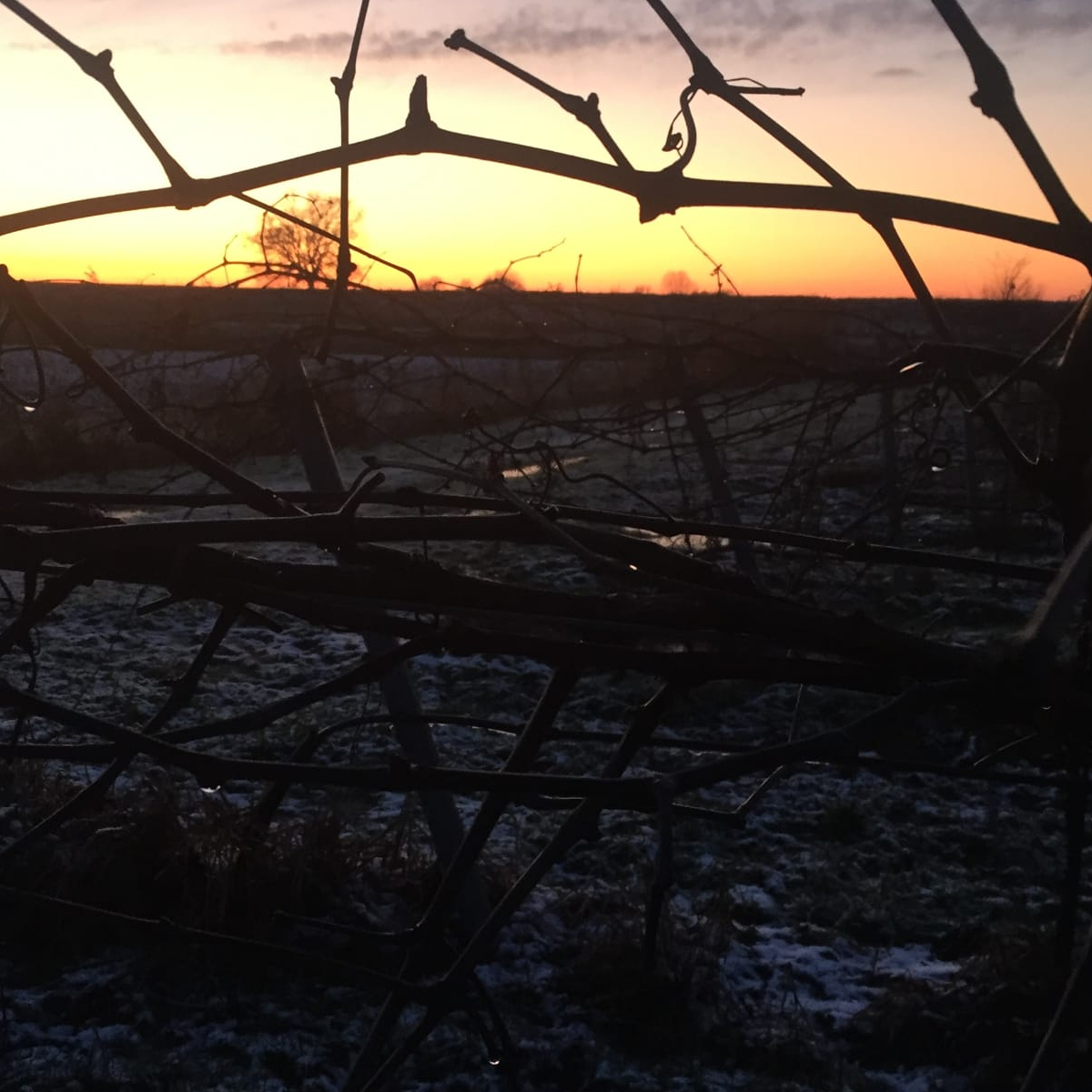 La Stombellina al tramonto